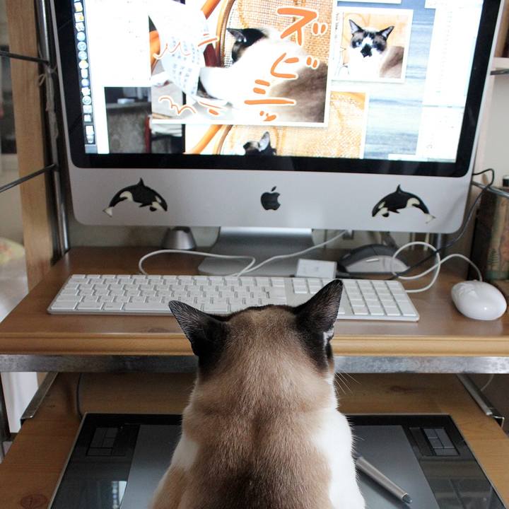 E04ea4d5 fb7b 4f8e 85a2 6723f659c8bd