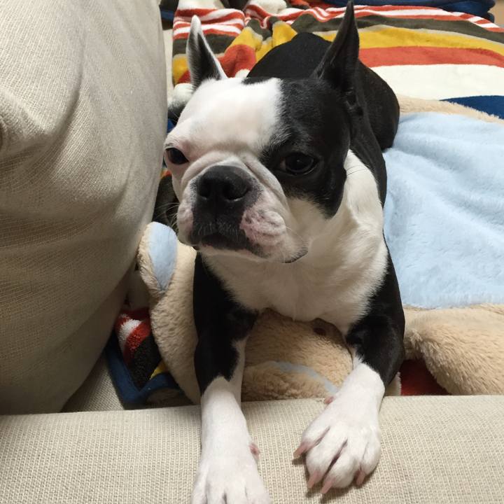 E04ec941 ff12 4ec7 a5ff 27712b304a84