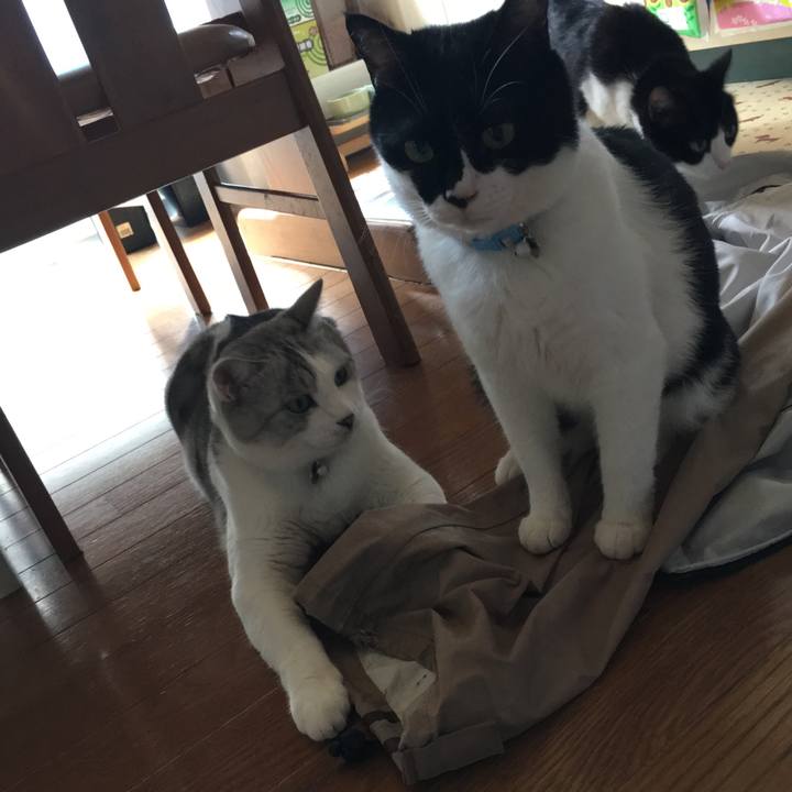 E04f3a49 d5c3 49d8 a778 8beca5c57484