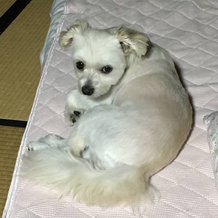 E04f9b1a a944 4a48 a0cc c7ffe21b2411