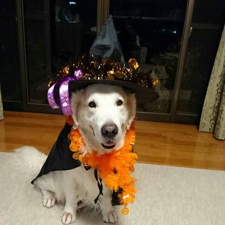 E04fc9a4 2ced 4930 bcfb 06156bdf28c2