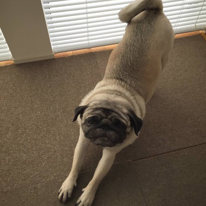 E05041a6 5ab3 4de5 ade9 12aaefdbf106