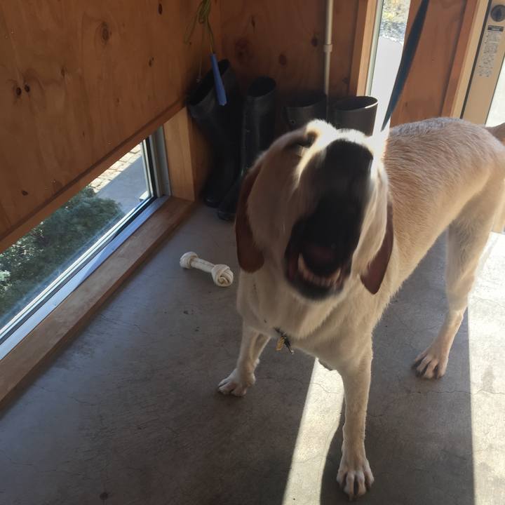 E0508b7b 77f7 4af3 a036 d34165e30324