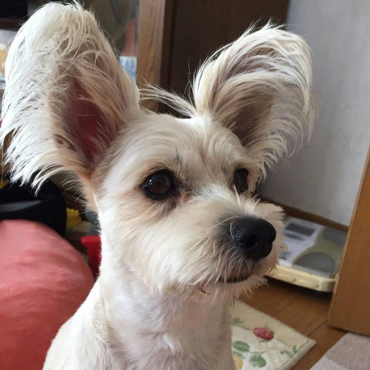 E051c8d1 43fb 4c39 a23b d3e09b6bc15e