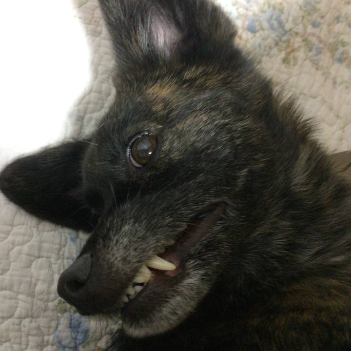 E051e7c4 8b5b 4227 92f8 c4edce45107c