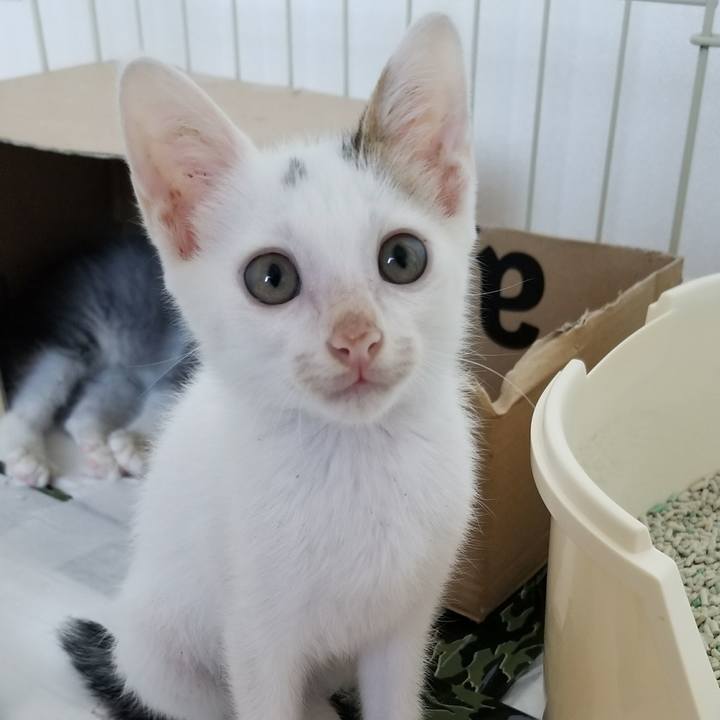 E0520202 b689 4a06 918e 7524c595ad52