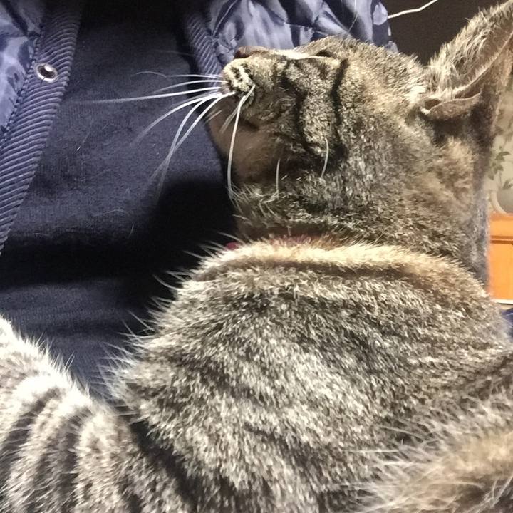 E0527beb 5246 43b1 94af 902ee807262f