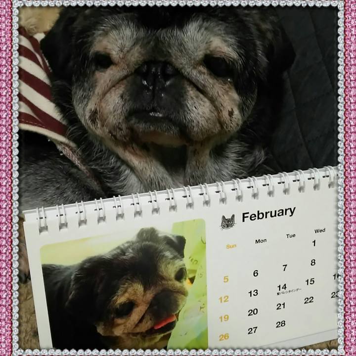 E052841e 9391 4caf 8fe8 c6941bb3f808