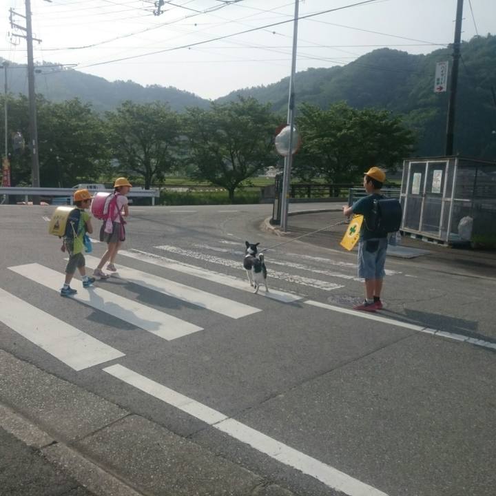 E052d230 0cea 4d94 92e0 2675192eeece