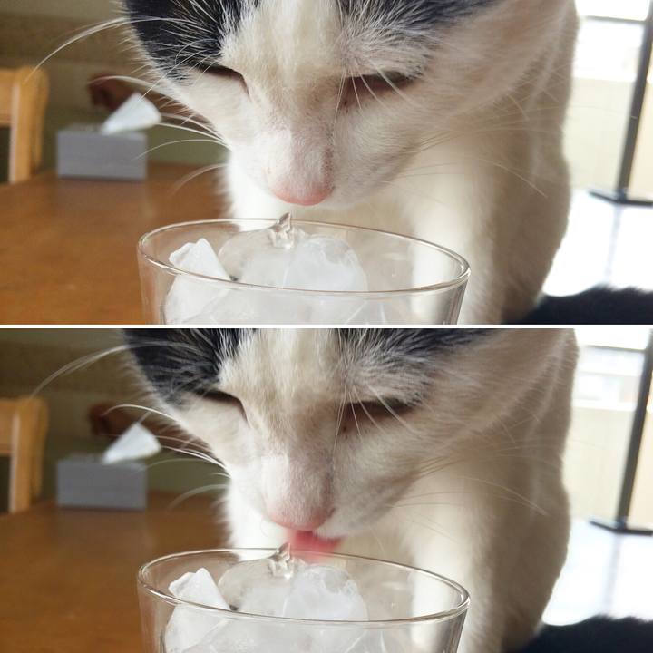 E052d564 16ba 40c4 9288 1b7790834b50