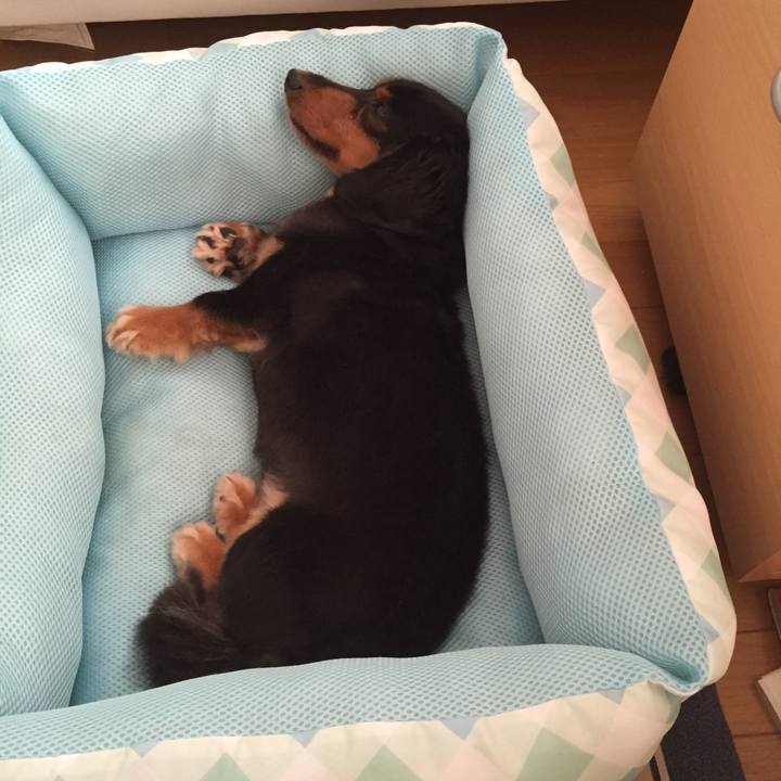 E052f737 677a 4955 bc18 16445908bb99