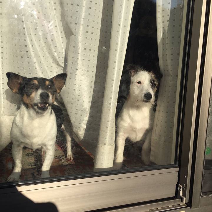 E053cf1b 1486 4ea1 b9e8 58c65b412c3e