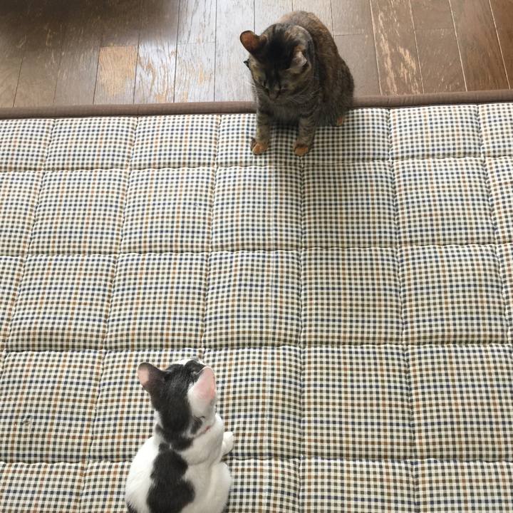 E053e5d1 8257 4683 bdc8 08513a7a64d3