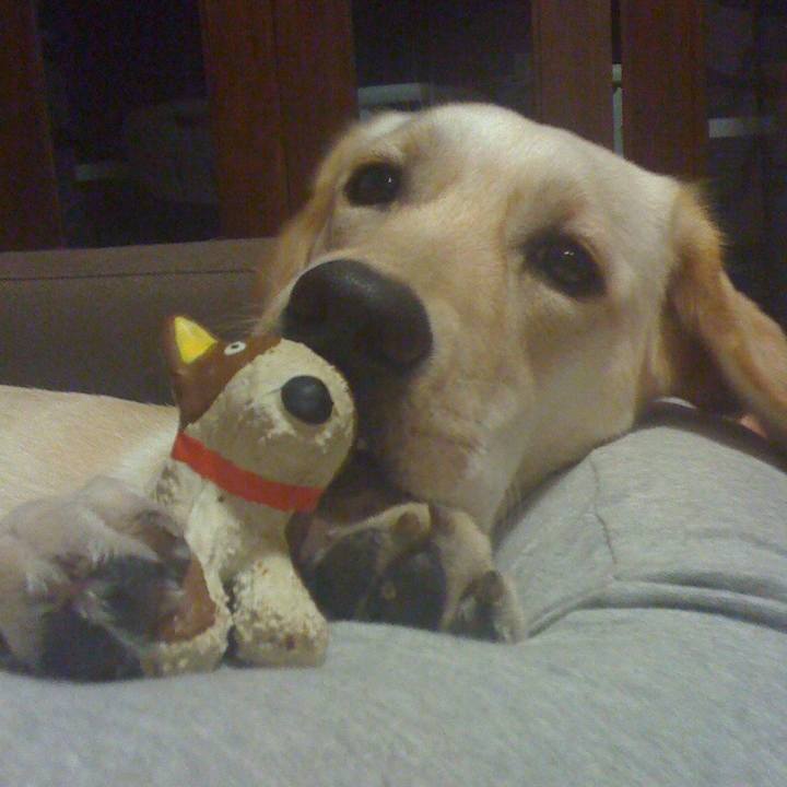 E053fc26 49c4 413f 9755 7368d3dbd5a9