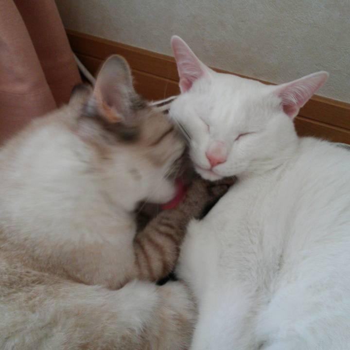 E054d7aa 7fac 4e92 b2ce fe9c9e4c694a