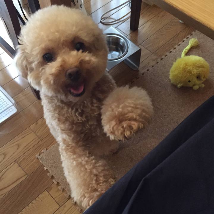 E0551af6 2ba8 448a b3ae 005b70a71f57