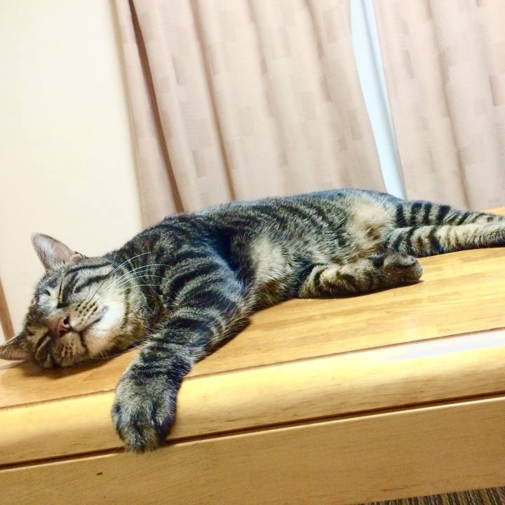 E056b463 9be0 4bd0 928b 24ad82da6c4d