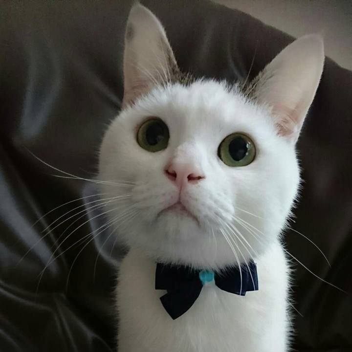 E0575aee 3b49 4c1a bc1d 1111db7c0435