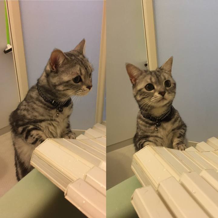 E0576d4b 966a 4910 a31b d782a1c5c5ec