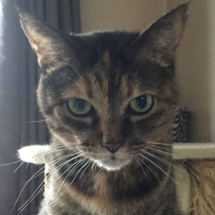 E057c510 86a3 4a05 891d 4a2674437b45