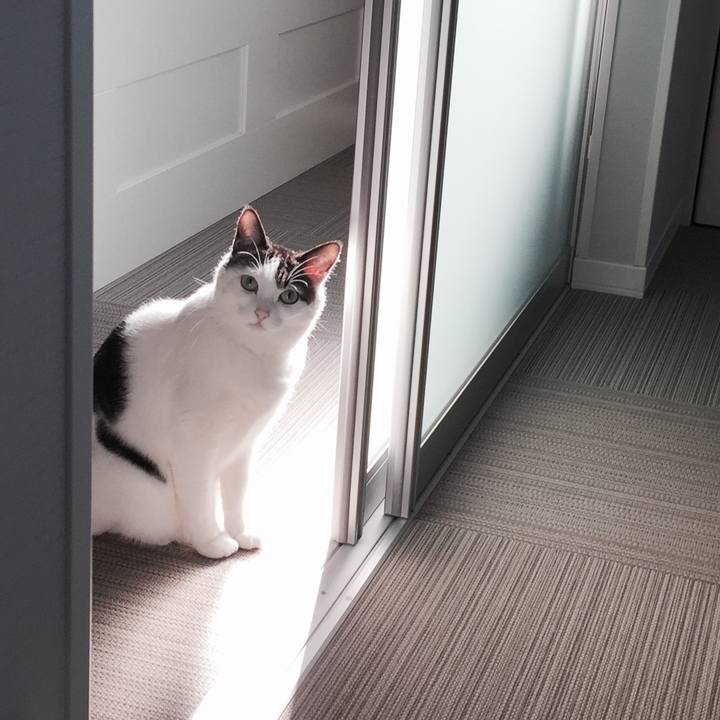 E0580ad6 5657 40aa babb a541542ab03b