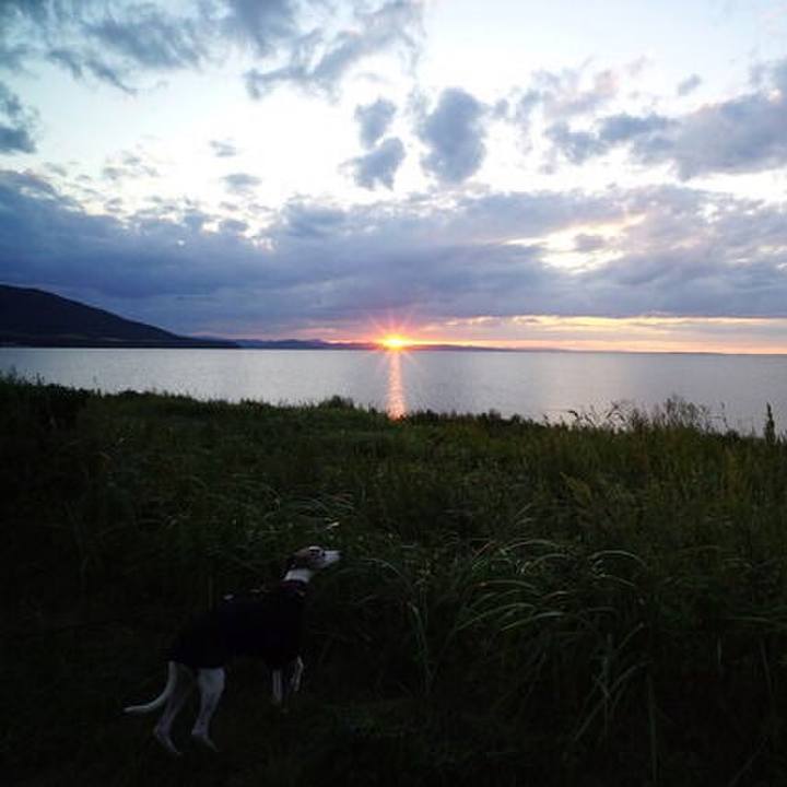 E058c3b8 b921 40fd 8209 7e625aa18f25