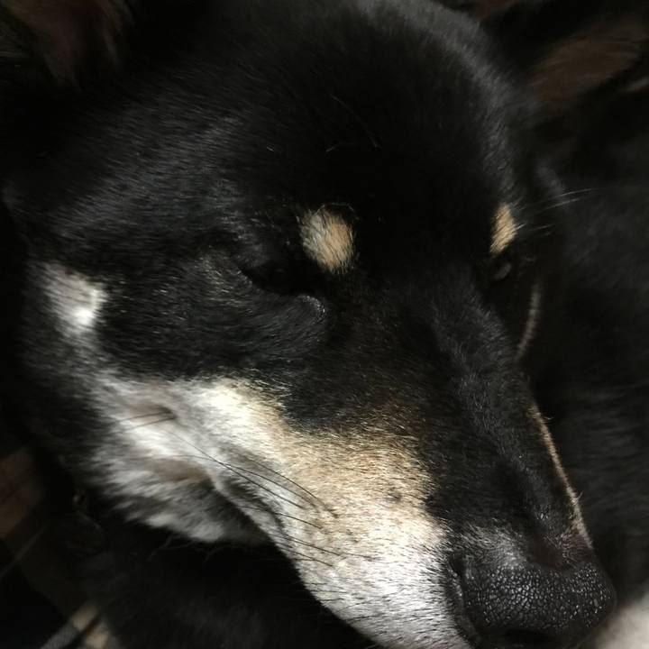 E05959e5 f9fa 43b2 8402 2a752ba0a866