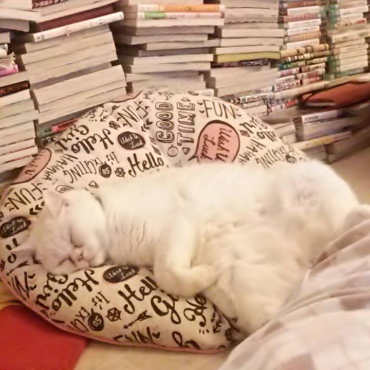 E0598248 d2e7 48ae b374 51ef1f9f27e6