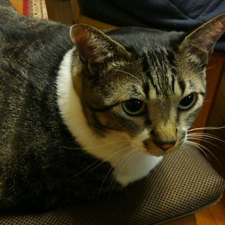 E0598e94 f29e 48c5 b7d4 ea268344ed06