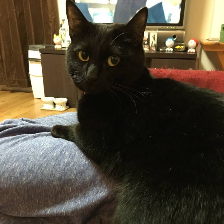 E059d7b2 1724 46c1 814b 5a9cbf0ec080