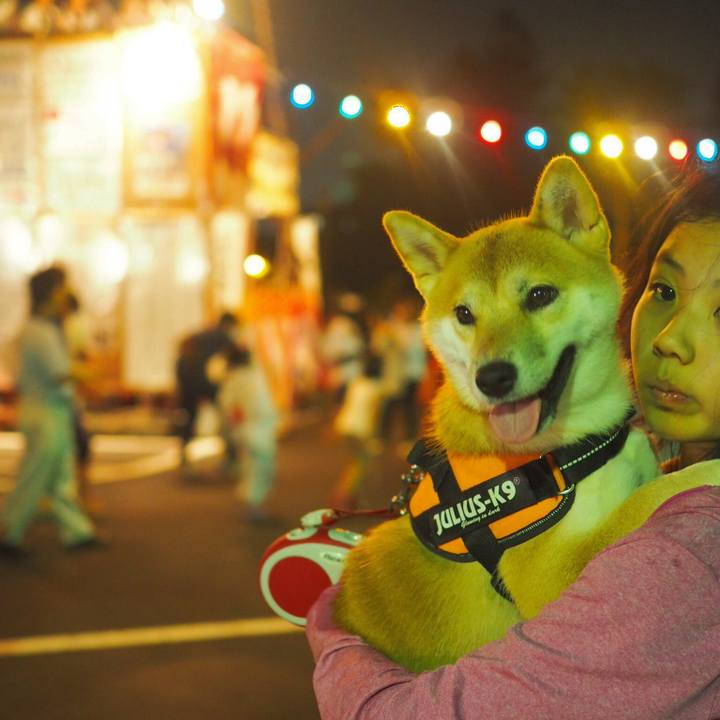 E05a3b4e 58c3 4c43 9b4c 7d53017f8f65