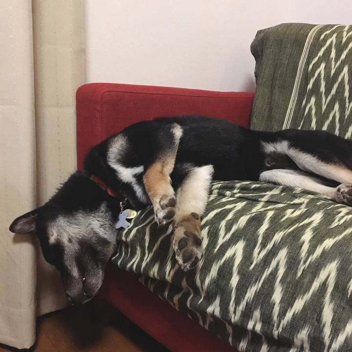 E05aa149 fa24 44db 90e2 dbc4246e7a60