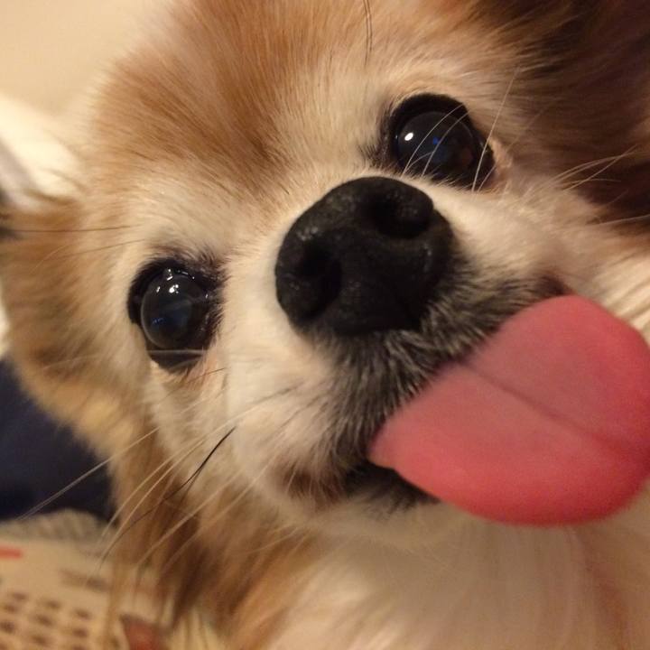 E05b7d96 828f 4757 b3bb 20df94efb94f