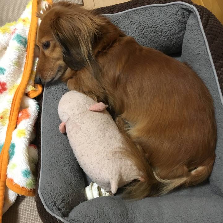 E05b8780 0f7f 4b6f 932b c32a4620c837