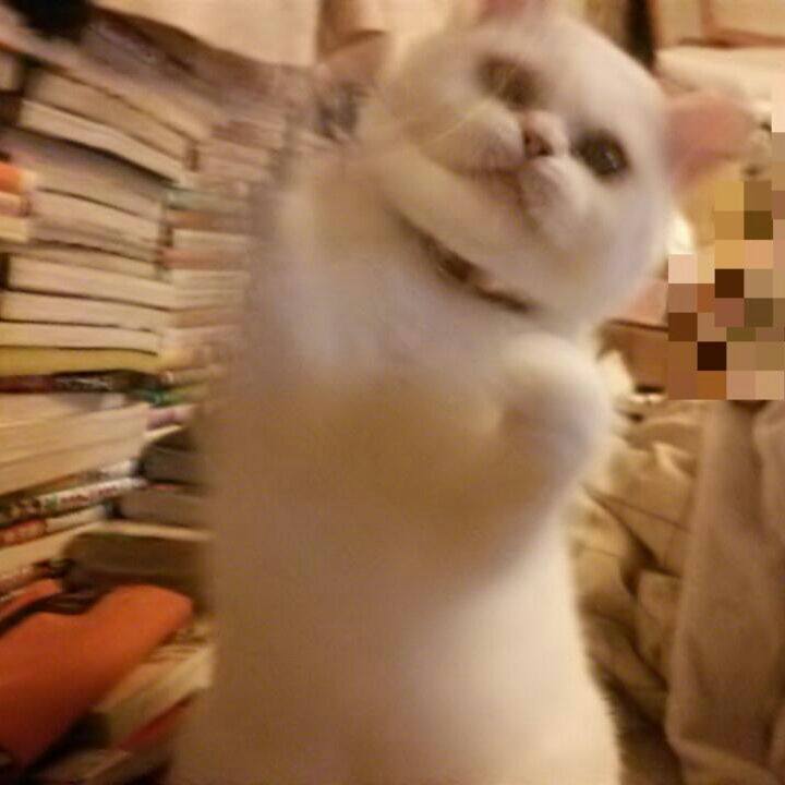 E05b9a53 de97 4b0c 95f1 e531ac01e574