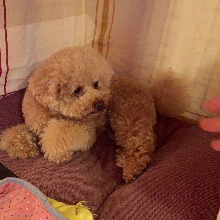 E05bb792 ffce 4e4c aa5b bb96aa97b681