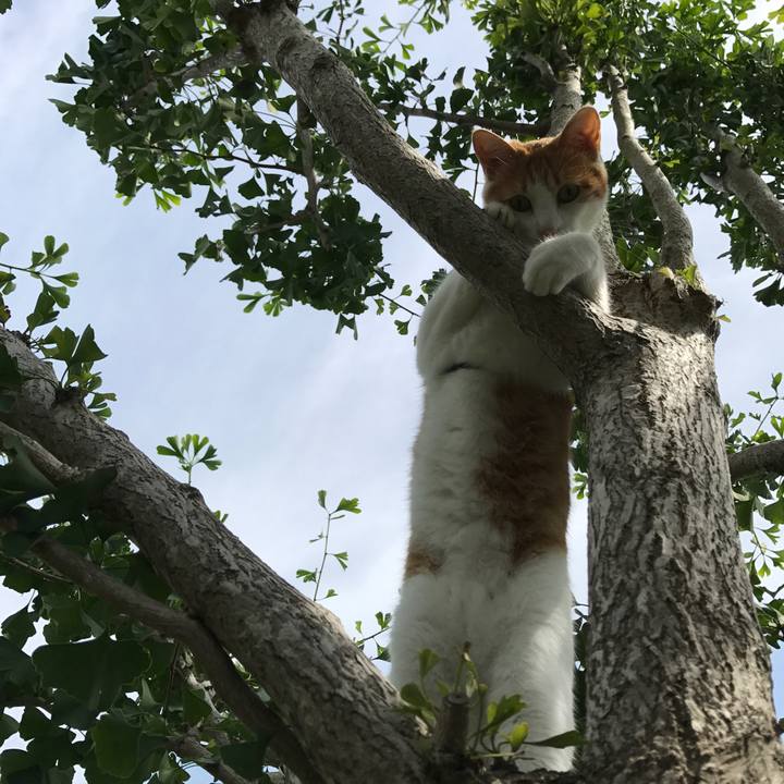 E05c0ac5 b42f 487e 8a98 2230f22b3eb4