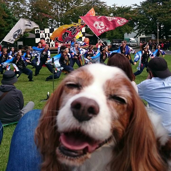 E05c51b9 73c8 4211 b482 fb5d46b3f8f0