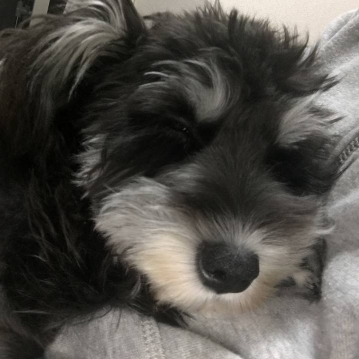 E05c616f 344f 4215 ad94 6bb52c8bd15b