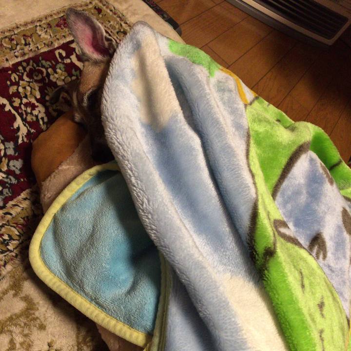 E05cb588 0386 4a77 8c87 582fb1ac41a0