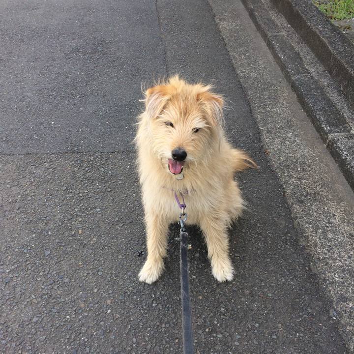 E05d25be 214d 4719 9ec7 1881427943e1