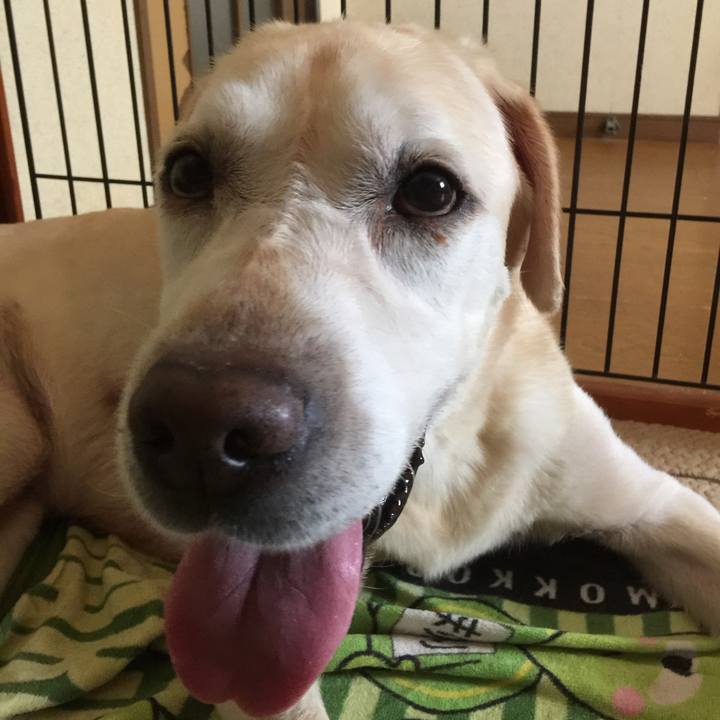 E05d9143 a4e0 4175 a080 b5cd2ad1c09a