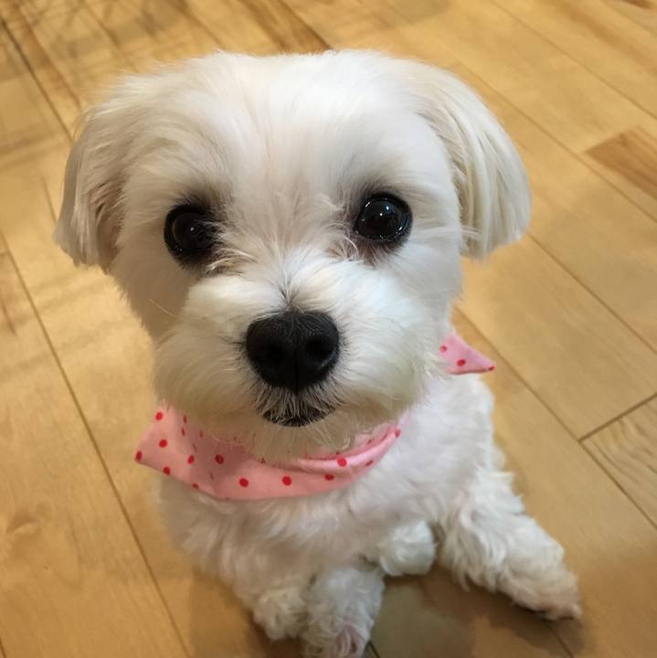 E05dba36 c7f9 4143 8aa0 48ea931c98ed