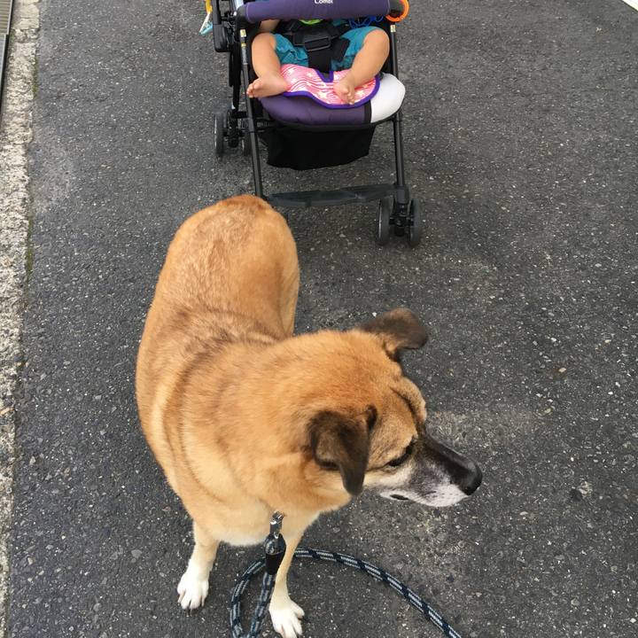 E05dc68b 9628 41a4 bb3e 24a93e33a08e