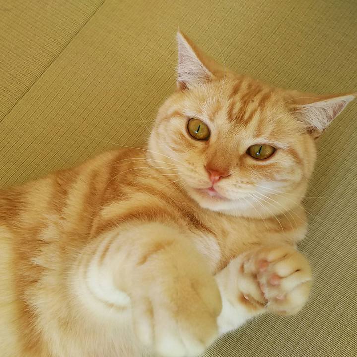 E05e7a4d bbad 4a24 8600 927505bc675d