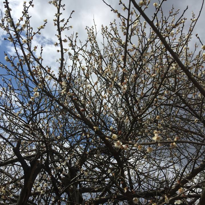 E05fa786 35c6 4f3b bf6e 1070f7bda6ac