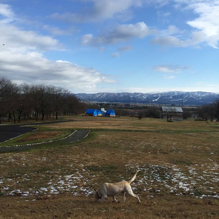 E05fa921 8d66 4e0e 8cbb 9ad86a9d00bd