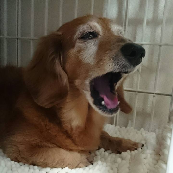 E05ff7b0 81ed 4dc9 9e87 7a7c8181e8b9