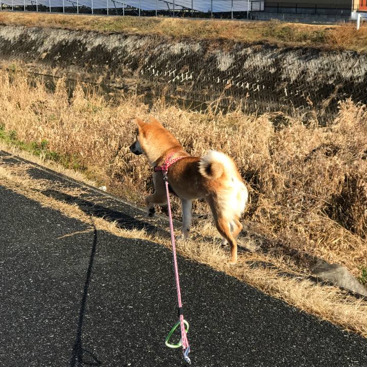 E05ffab2 78a8 425c 9646 ab406a4036e9