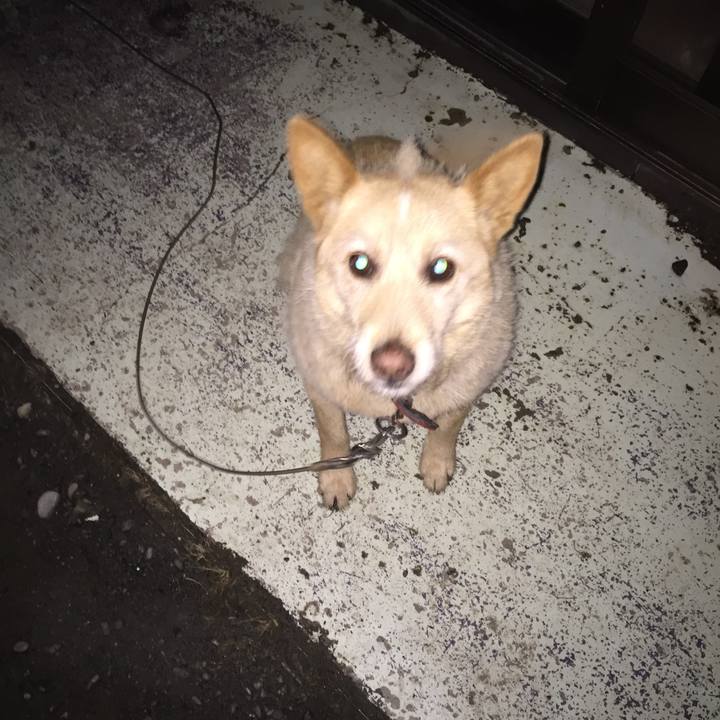 E0604757 546c 40e0 8bd8 41d446abf4a6